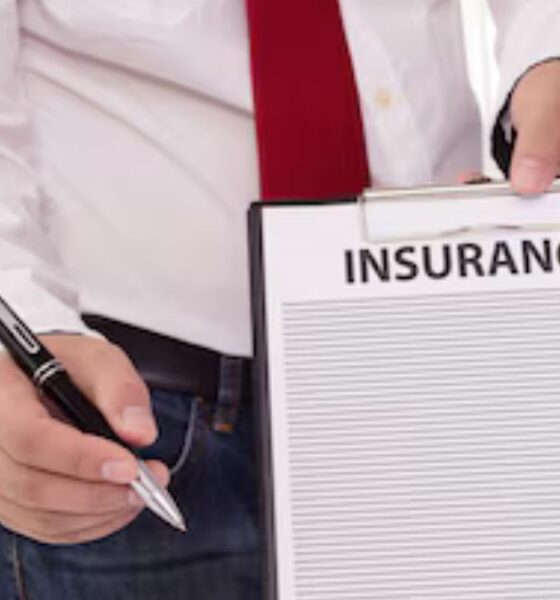 The Essential Guide to Understanding Insurance