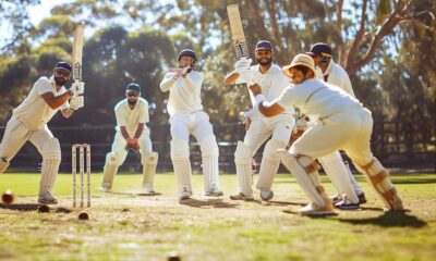 The Joy of Cricket