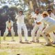 The Joy of Cricket