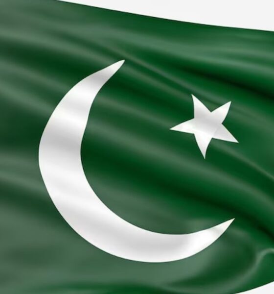 The Symbolism and History of the Pakistani Flag