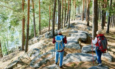 The Best Hiking Trails