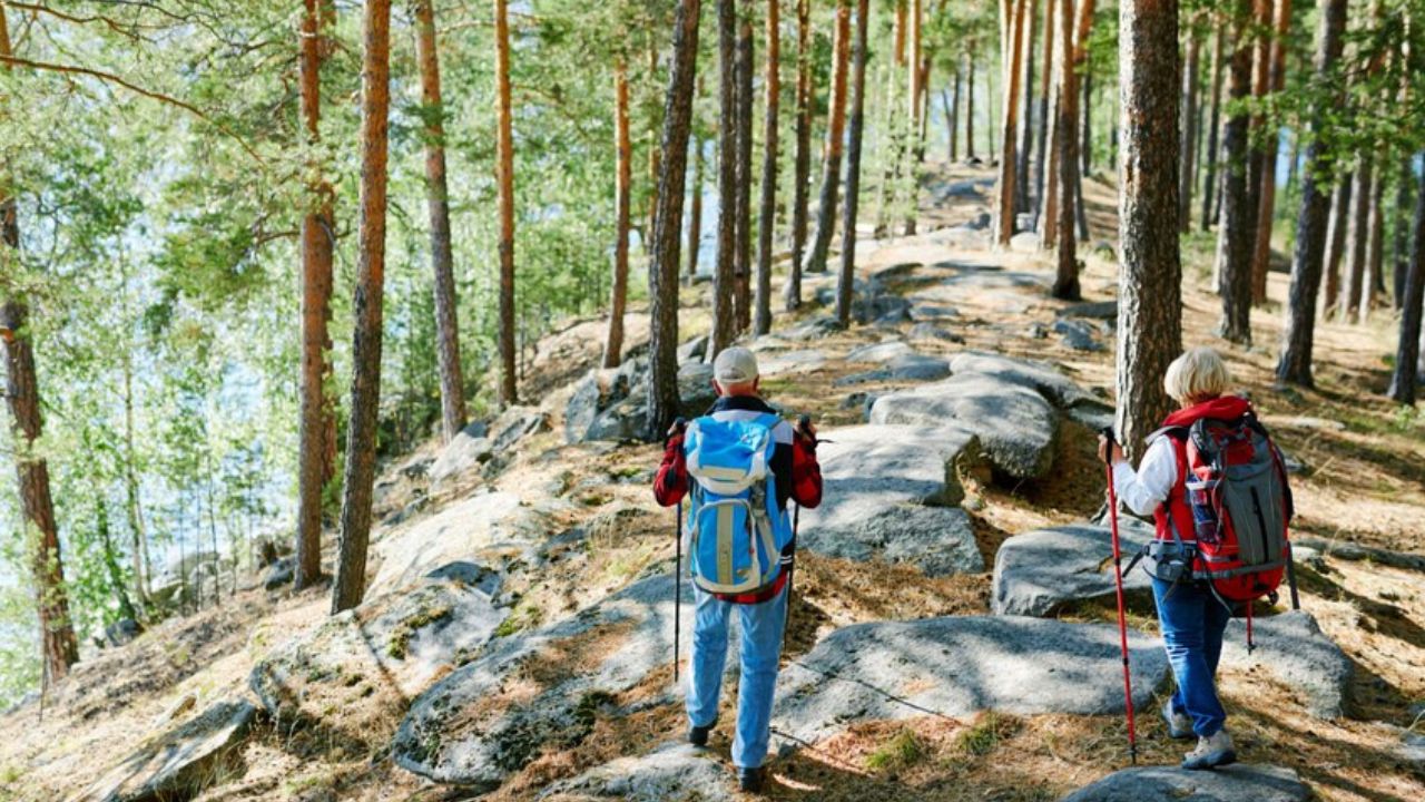 The Best Hiking Trails