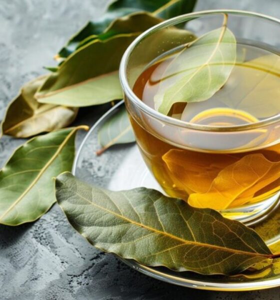 Benefits of Laurel Leaf Tea