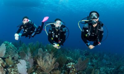 Best Scuba Diving Spots