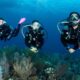 Best Scuba Diving Spots