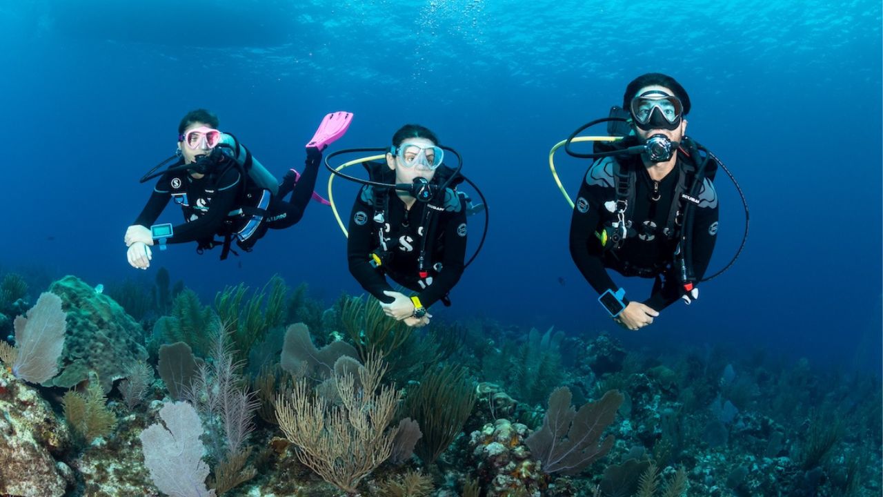 Best Scuba Diving Spots