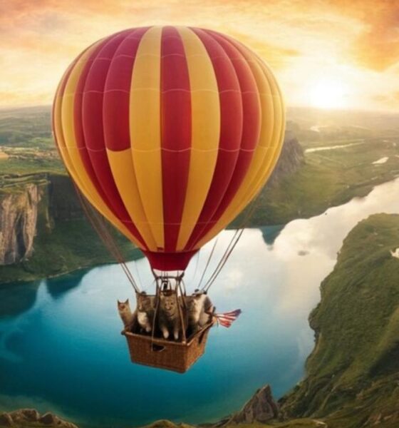 Flying on a Hot Air Balloon