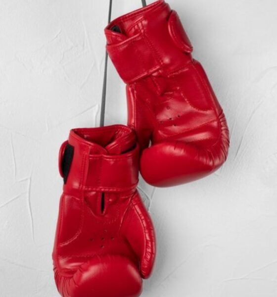 The Importance of Boxing Gloves