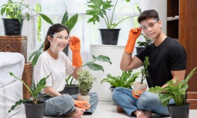 The Indoor Plant Care